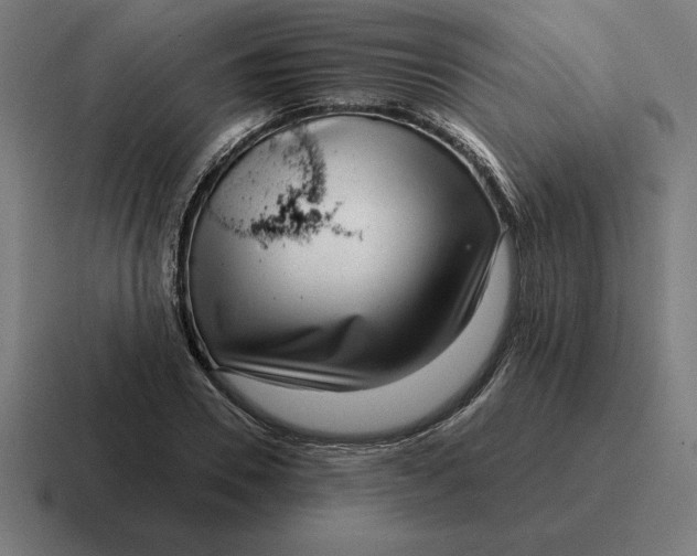 X0000116810930200912311953