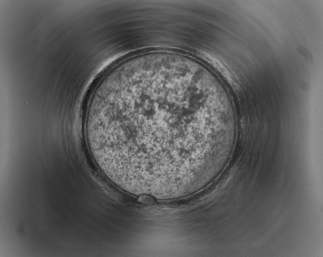 X0000116810931200912311953