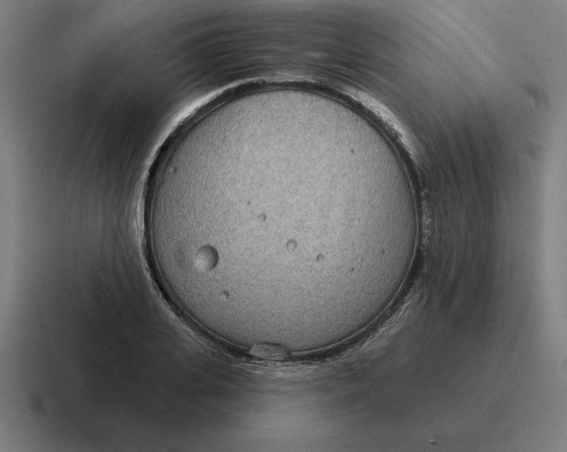 X0000116810935200912311953