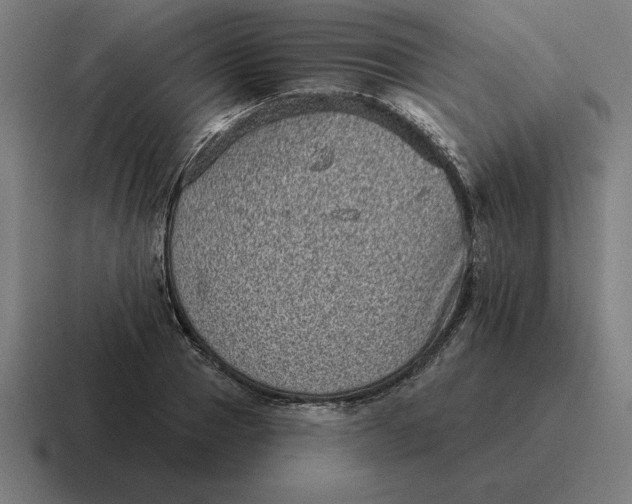 X0000116810937200912311953