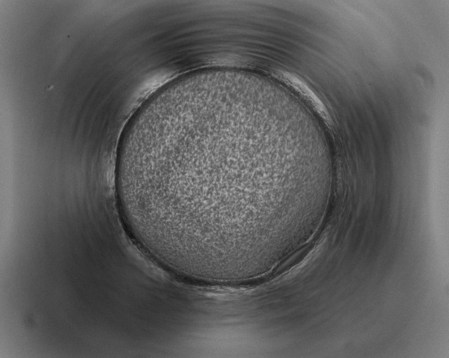 X0000116810938200912311953