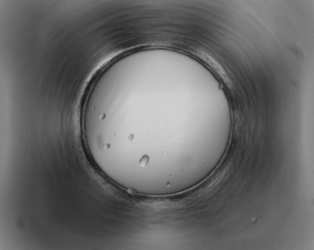 X0000116810939200912311953