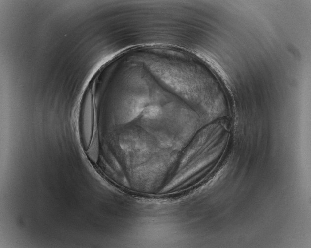 X0000116810941200912311953