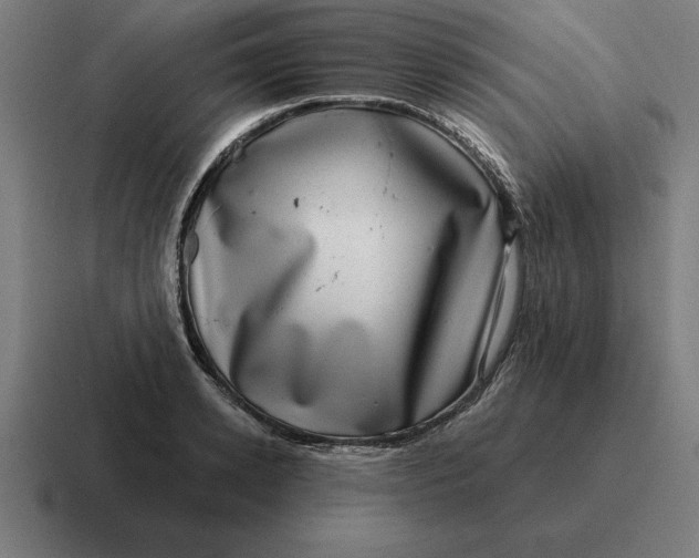 X0000116810942200912311953