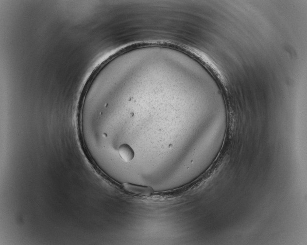 X0000116810943200912311953