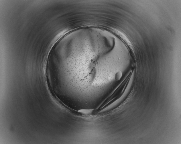 X0000116810946200912311953