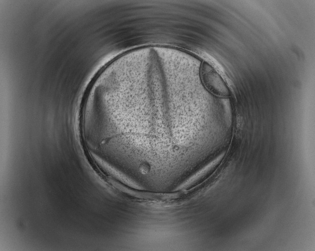 X0000116810947200912311953