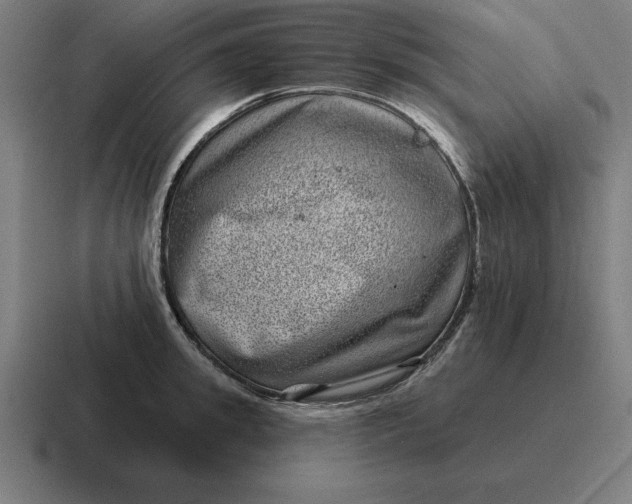 X0000116810949200912311953