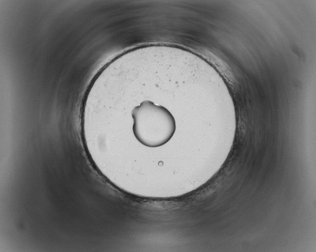 X0000116810950200912311953