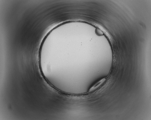 X0000116810951200912311953