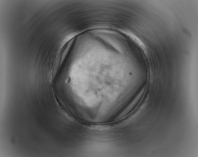 X0000116810953200912311953