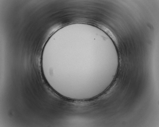 X0000116810954200912311953