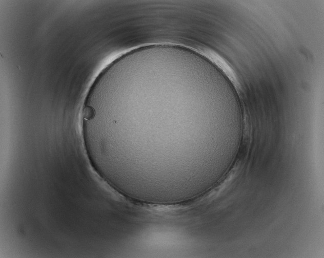 X0000116810958200912311953