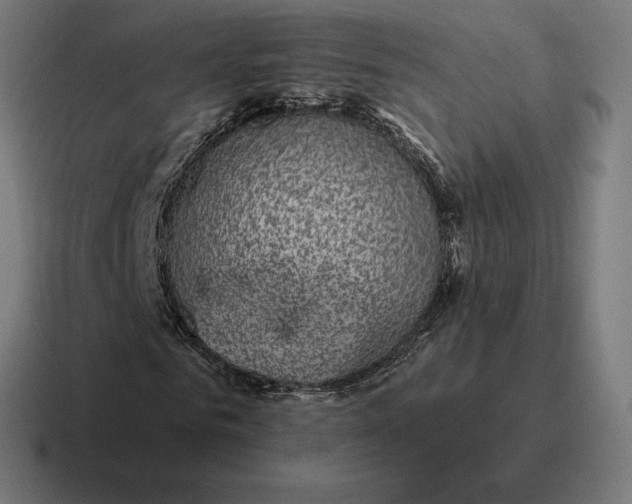 X0000116810961200912311952