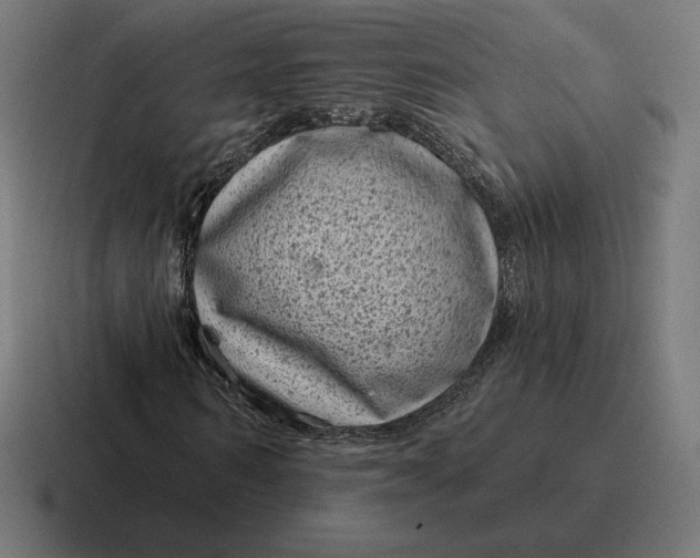 X0000116810962200912311952