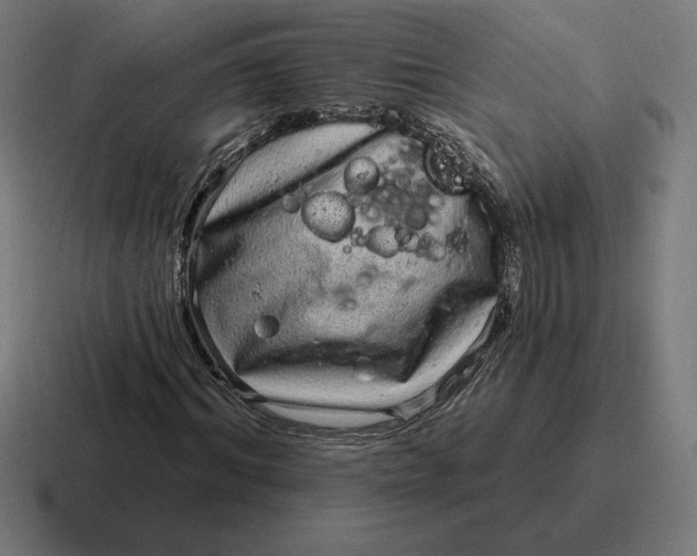 X0000116810964200912311952