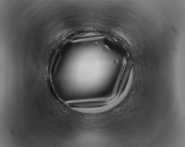 X0000116810965200912311952