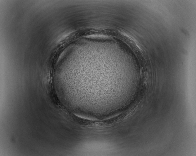 X0000116810966200912311952