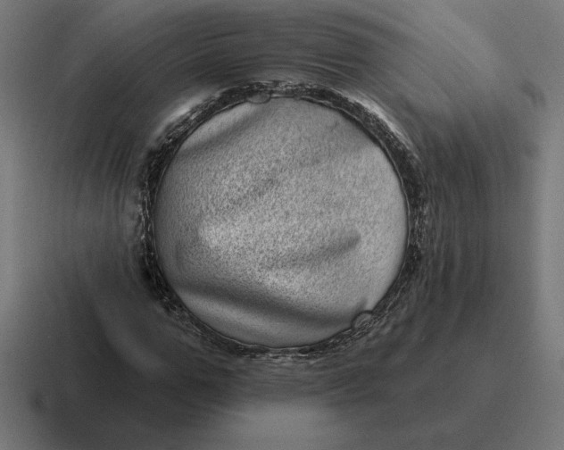 X0000116810967200912311952