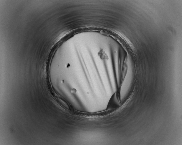 X0000116810969200912311952