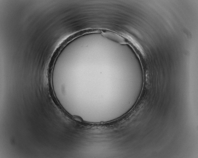 X0000116810972200912311952