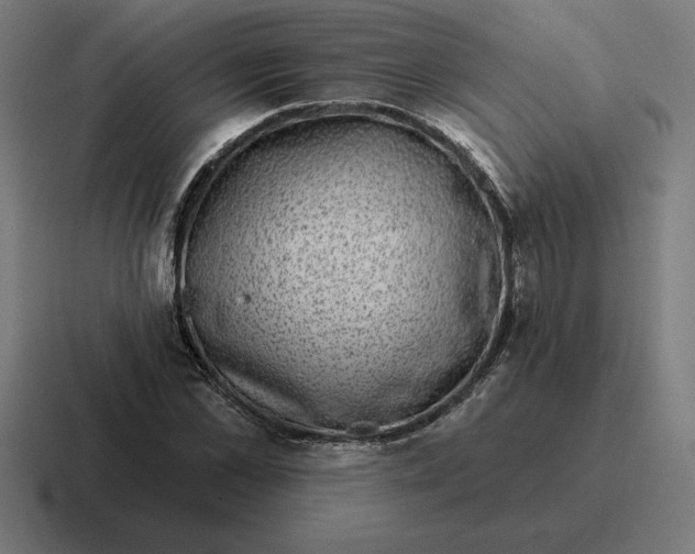 X0000116810973200912311952