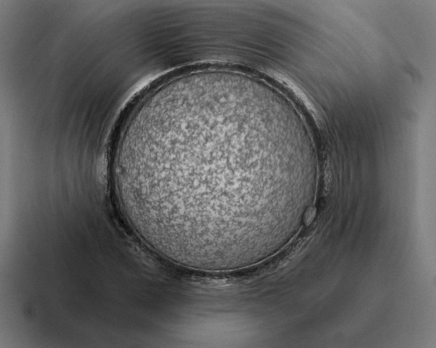 X0000116810975200912311952