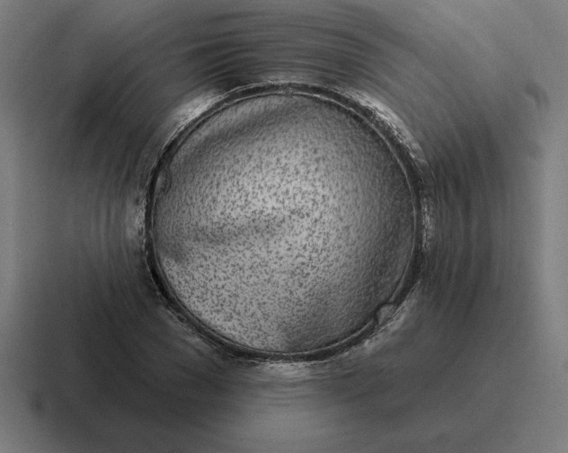 X0000116810977200912311952