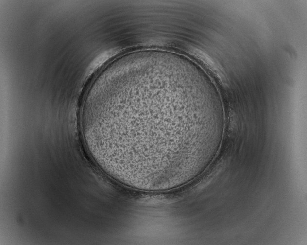 X0000116810978200912311952