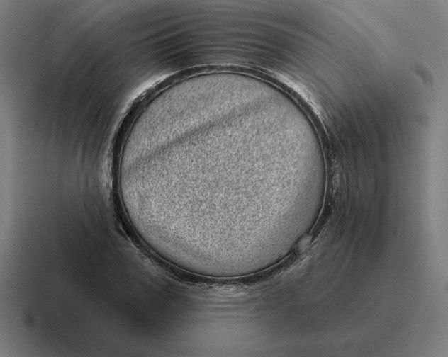 X0000116810979200912311952