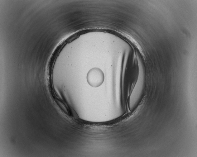 X0000116810981200912311952