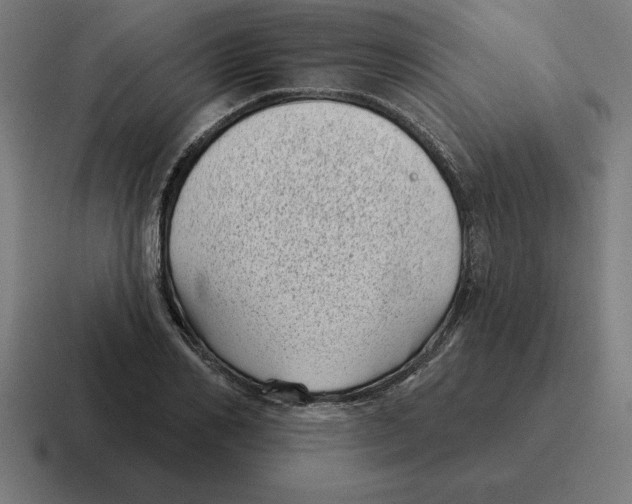 X0000116810982200912311952