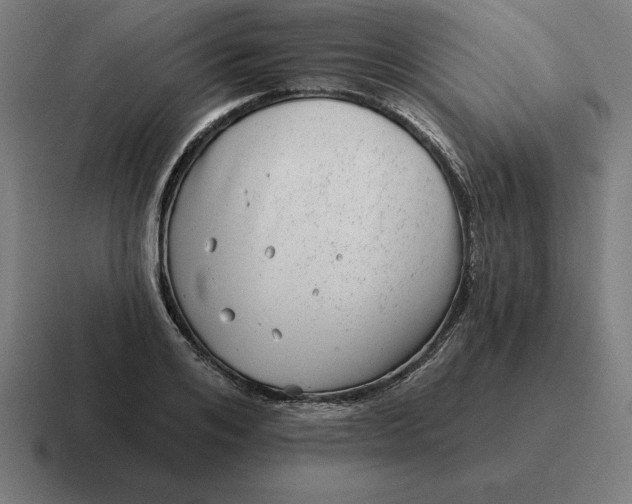 X0000116810984200912311952