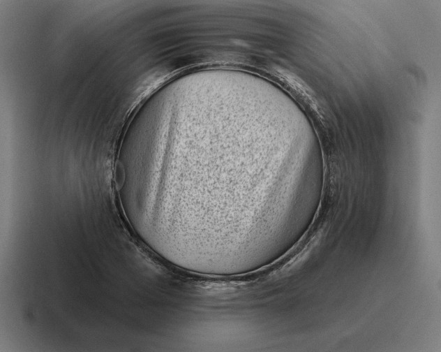 X0000116810985200912311952