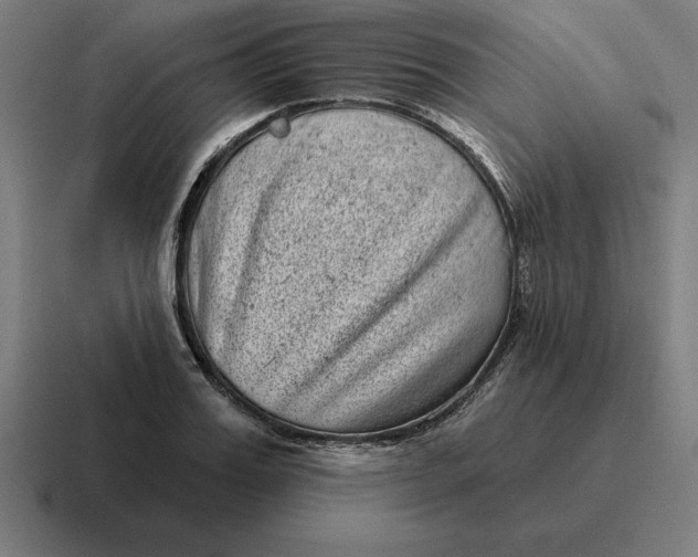 X0000116810987200912311952