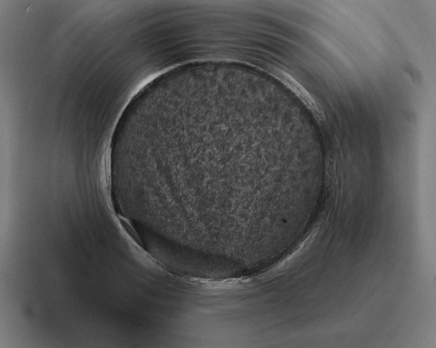 X0000116810988200912311952