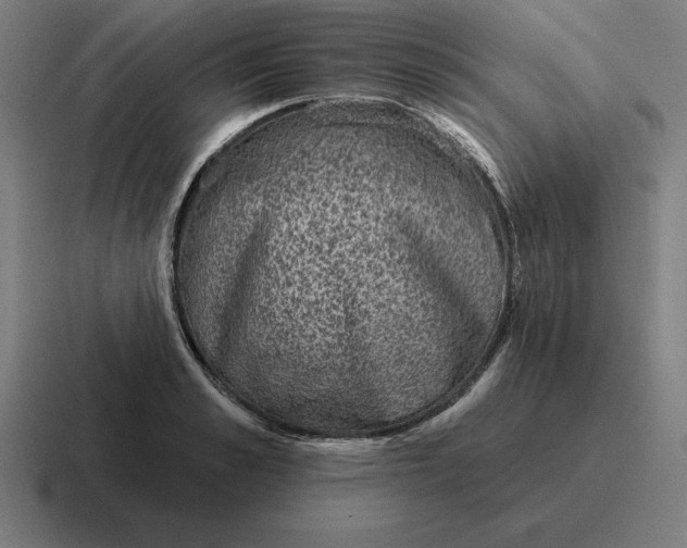 X0000116810989200912311952