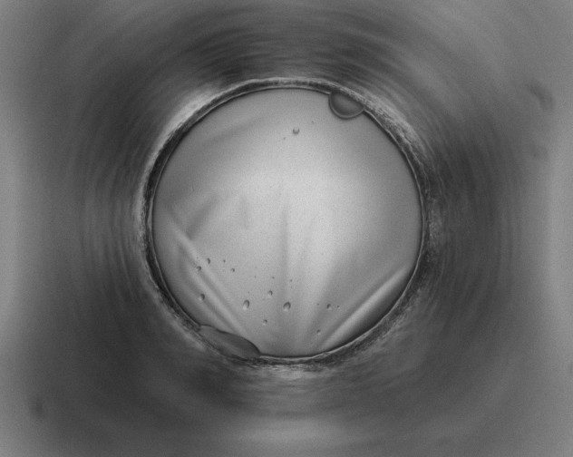 X0000116810990200912311952