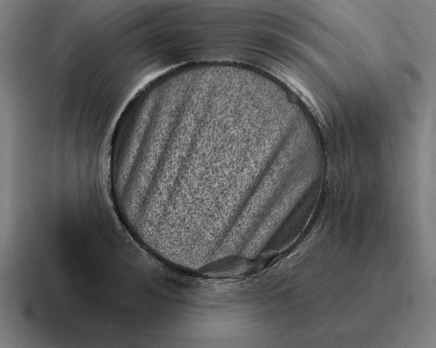 X0000116810992200912311952