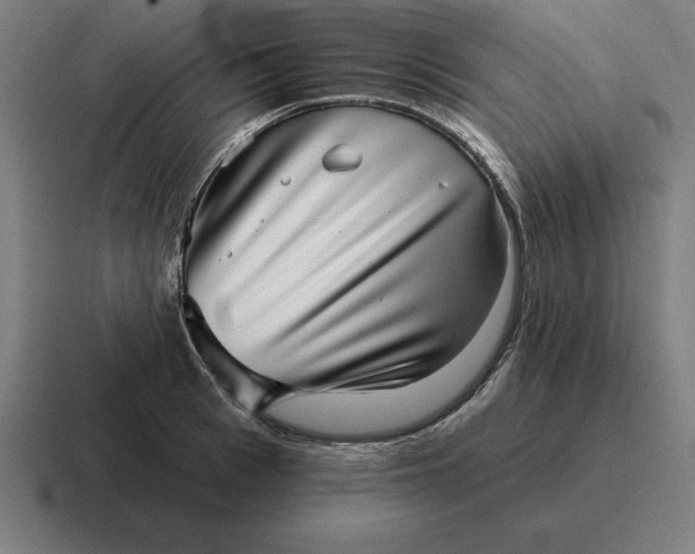 X0000116810993200912311952