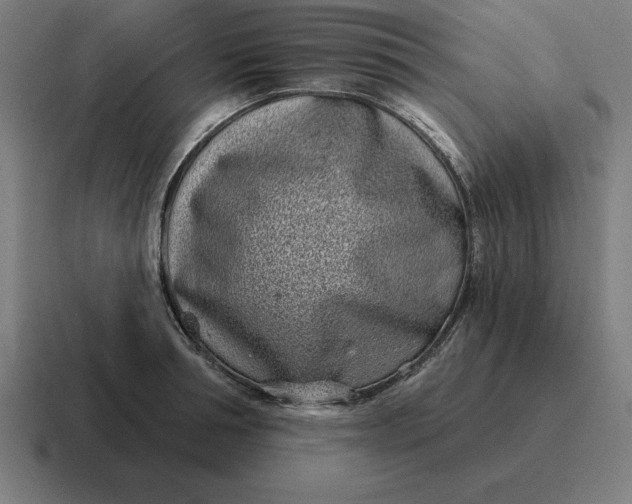 X0000116810994200912311952