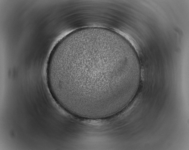 X0000116810995200912311952