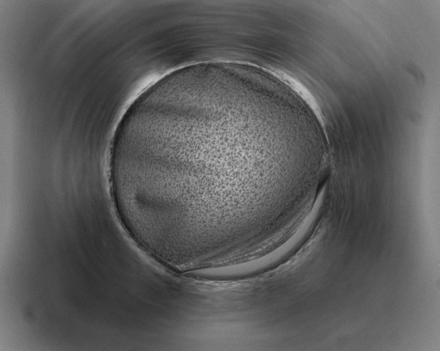 X0000116810997200912311952