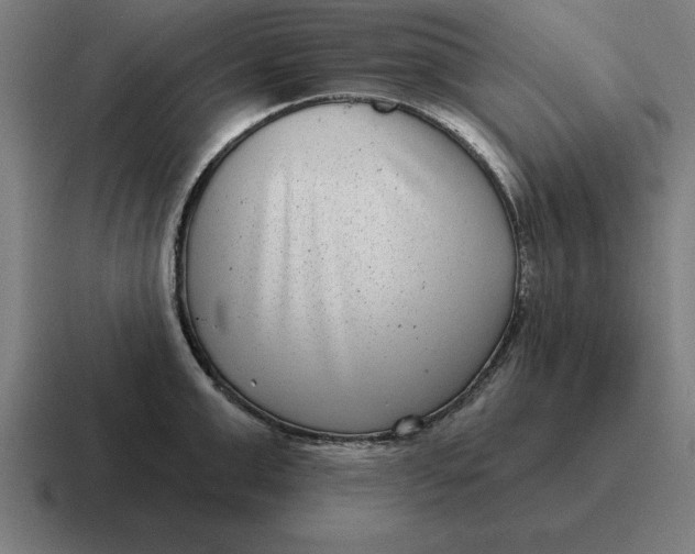 X0000116810999200912311952