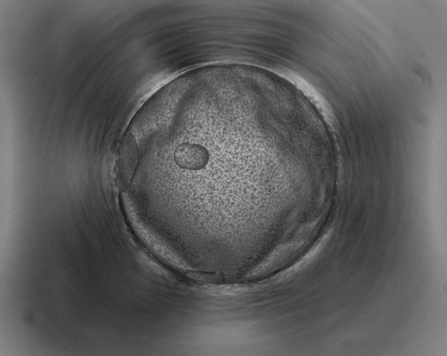 X0000116811001200912311952