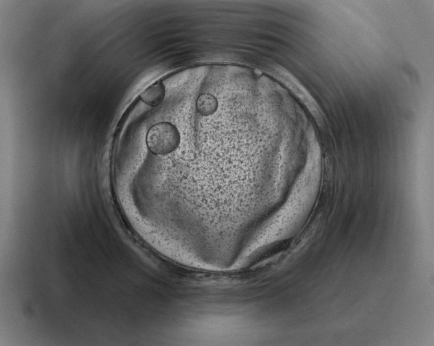 X0000116811002200912311952