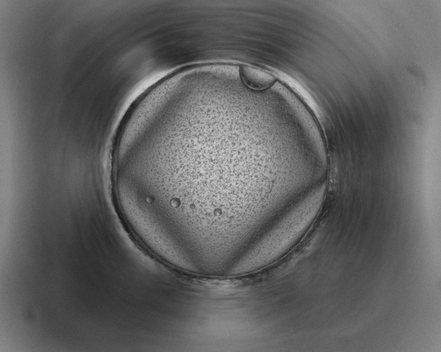 X0000116811003200912311952