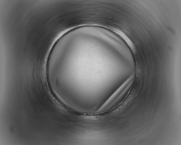 X0000116811004200912311952