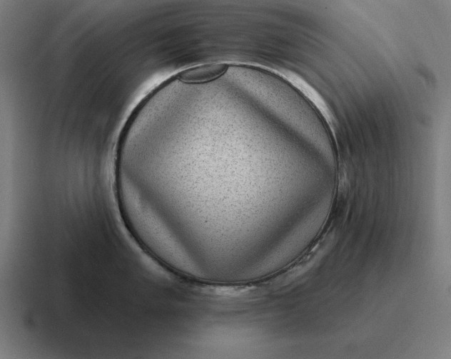 X0000116811005200912311952