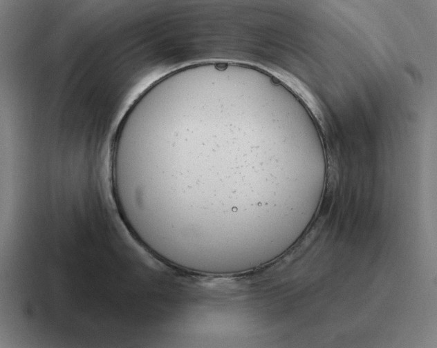 X0000116811006200912311952